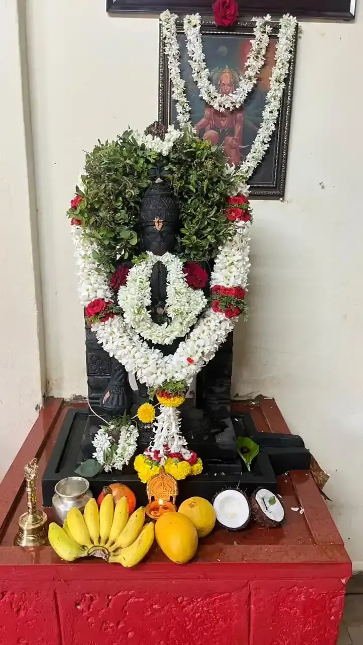 ಹೂವು, ಹಣ್ಣು ಮತ್ತು ನೈವೇದ್ಯಗಳಿಂದ ಅಲಂಕೃತರಾದ ಶ್ರೀ ಮುಖ್ಯಪ್ರಾಣ ದೇವರು (ಆಂಜನೇಯ ಸ್ವಾಮಿ)