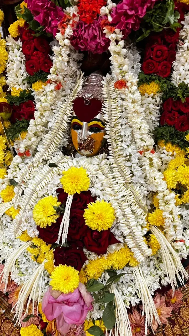 ಗಾಢ ಬಣ್ಣದ ಗುಲಾಬಿ ಮತ್ತು ಸೇವಂತಿಗೆಗಳೊಂದಿಗೆ ಮಲ್ಲಿಗೆಯಿಂದ ಆವೃತಳಾದ ದೇವಿ