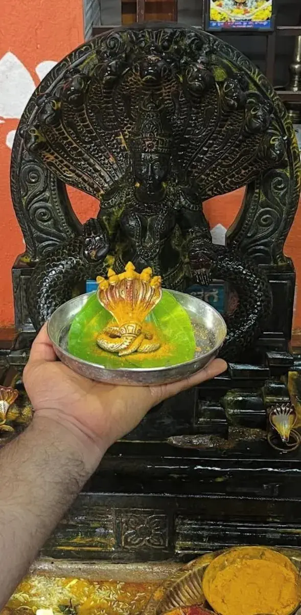 ಕಲ್ಲಿನ ನಾಗ ಪ್ರತಿಮೆಯ ಮುಂದೆ ಹಿಡಿದಿರುವ ಅರ್ಪಣೆ