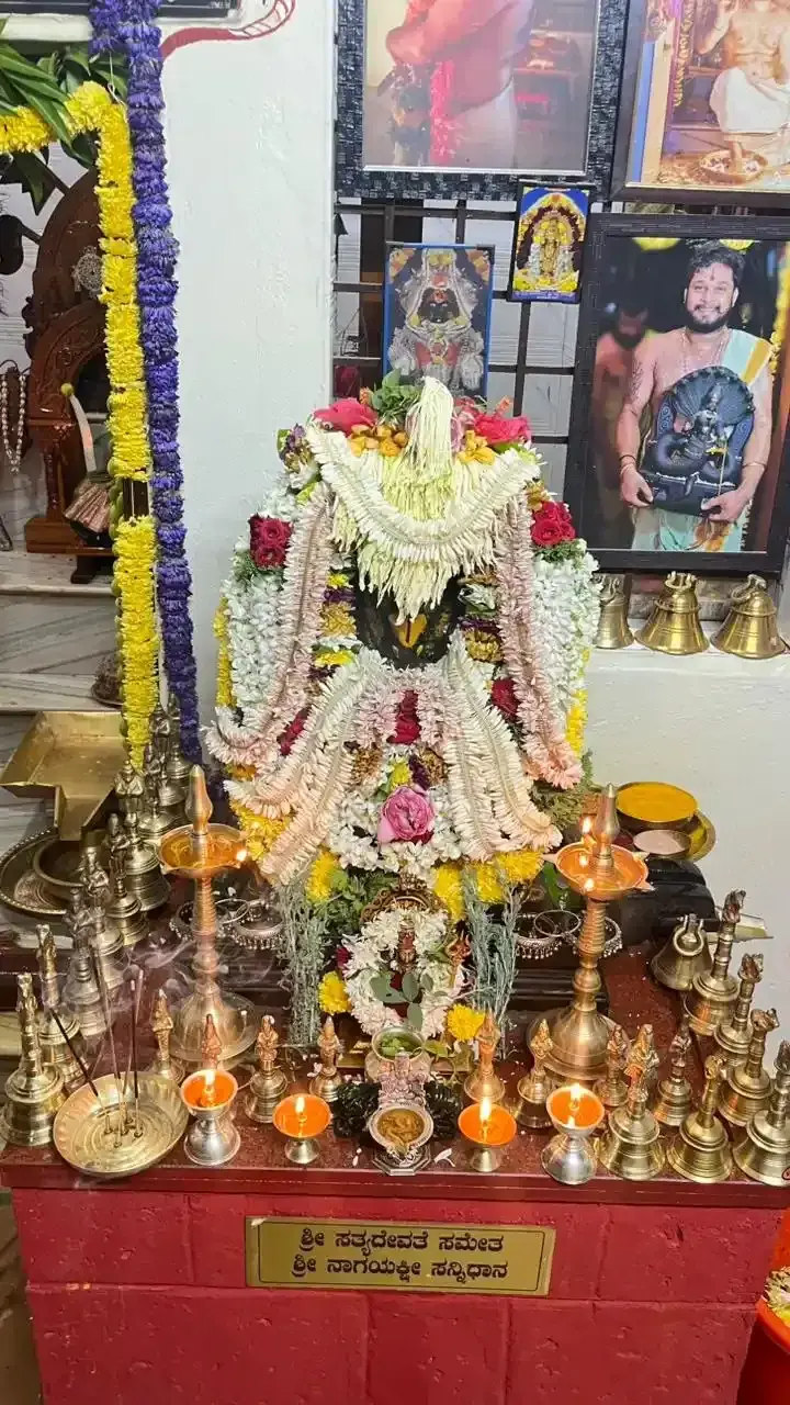 ಹಲವು ಹಿತ್ತಾಳೆ ದೀಪಗಳಿಂದ ಬೆಳಗುತ್ತಿರುವ ನಾಗಯಕ್ಷಿಯ ಸನ್ನಿಧಿ