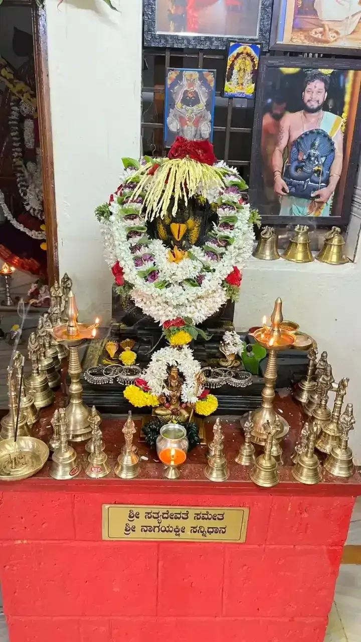 ಹಿತ್ತಾಳೆಯ ದೀಪಗಳಿರುವ ಶ್ರೀ ನಾಗಯಕ್ಷಿಯ ಸನ್ನಿಧಿ