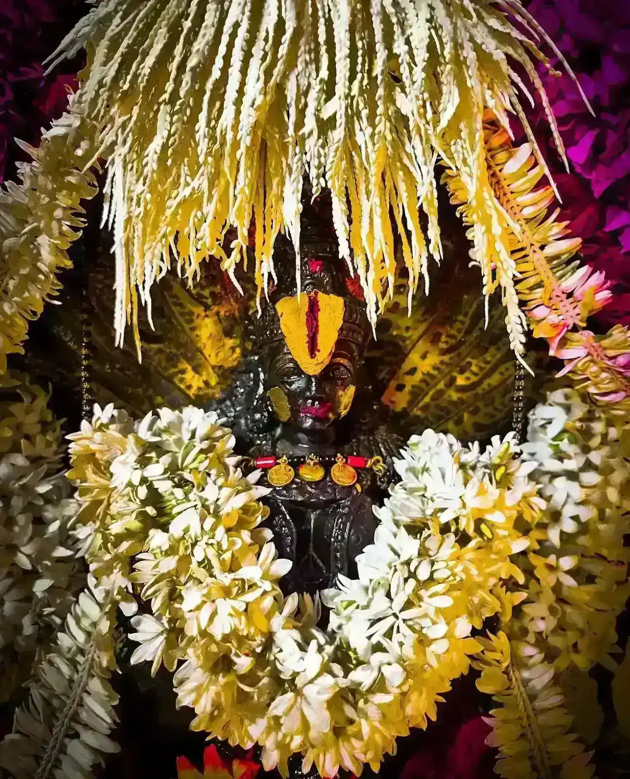 ಮಲ್ಲಿಗೆ ಮತ್ತು ಬಿಳಿಯ ಹೂವುಗಳ ಚಪ್ಪರದಡಿಯಲ್ಲಿ ಶ್ರೀ ನಾಗಯಕ್ಷಿ