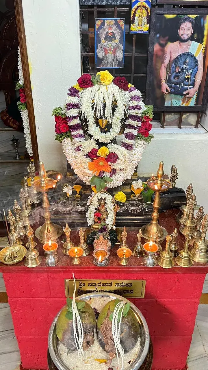 ಹಾರ ಹಾಕಿದ ಸನ್ನಿಧಿಯ ಮುಂದೆ ಜೋಡಿಸಿದ ಹಿತ್ತಾಳೆ ದೀಪಗಳು